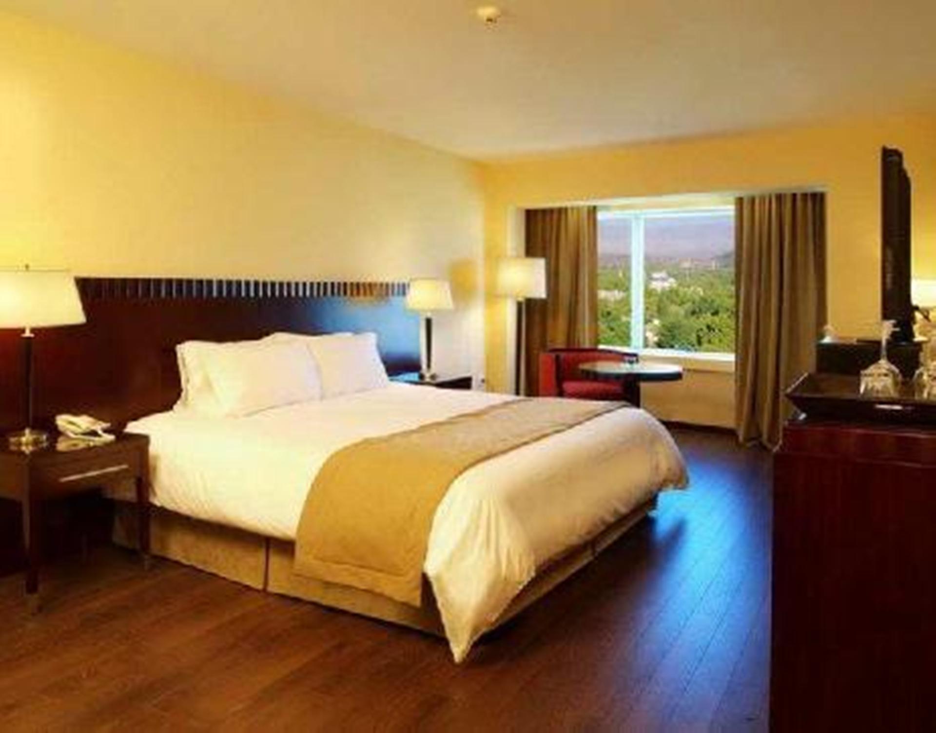 Diplomatichotel Mendoza Kültér fotó A typical hotel room
